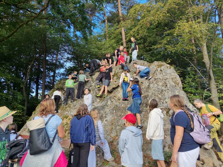 IMG_20260918_095201350_HDR